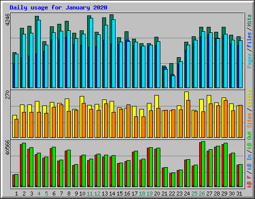 Daily usage for January 2020