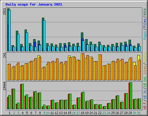 Daily usage for January 2021