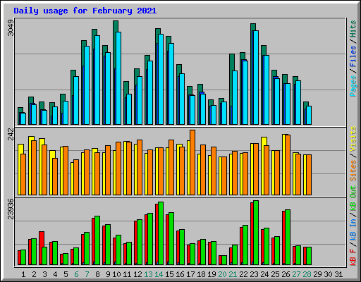 Daily usage for February 2021