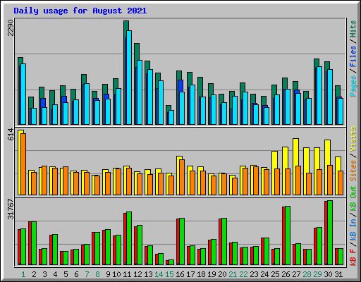 Daily usage for August 2021