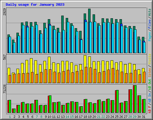 Daily usage for January 2023