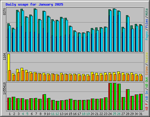 Daily usage for January 2025