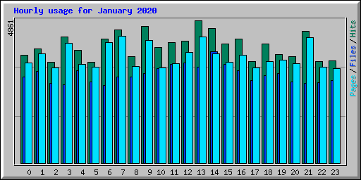 Hourly usage for January 2020