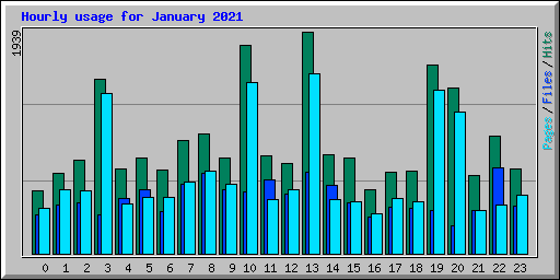 Hourly usage for January 2021