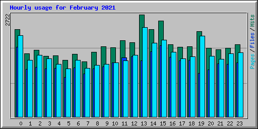 Hourly usage for February 2021