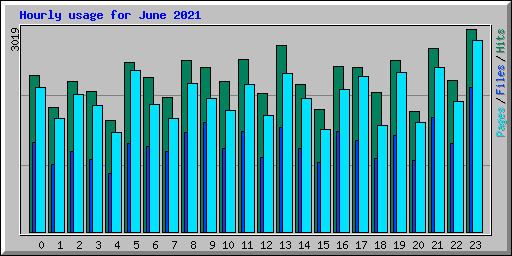 Hourly usage for June 2021