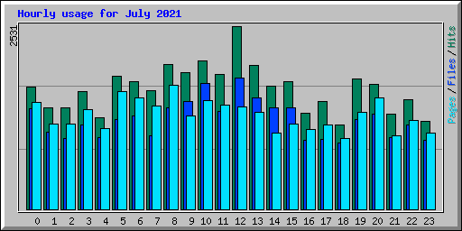 Hourly usage for July 2021
