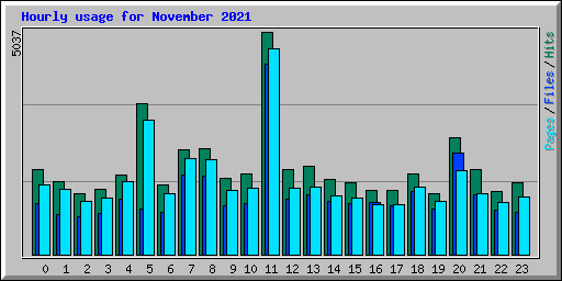 Hourly usage for November 2021