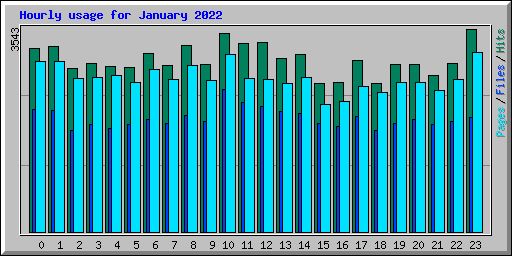Hourly usage for January 2022