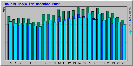 Hourly usage for December 2022