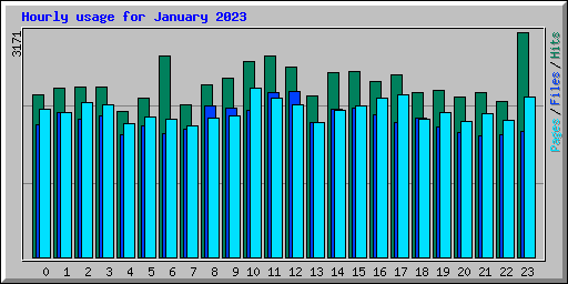 Hourly usage for January 2023