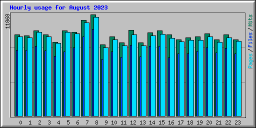Hourly usage for August 2023