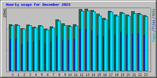 Hourly usage for December 2023