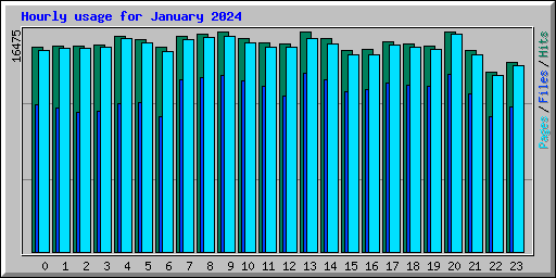 Hourly usage for January 2024