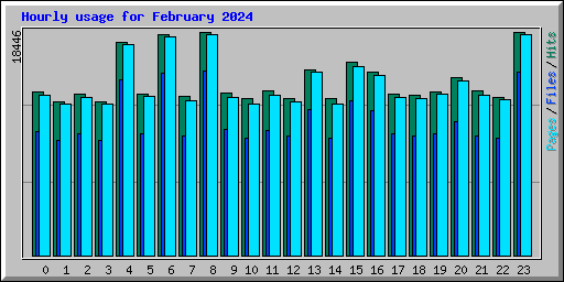 Hourly usage for February 2024