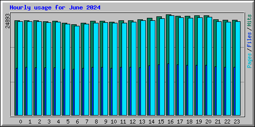 Hourly usage for June 2024