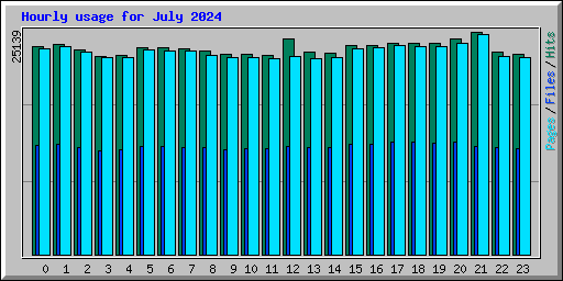Hourly usage for July 2024