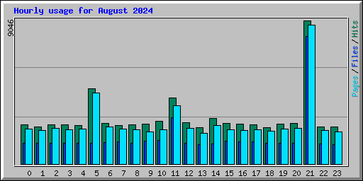 Hourly usage for August 2024