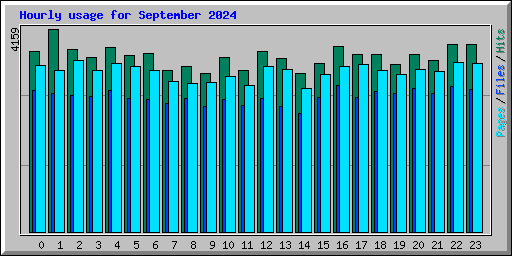 Hourly usage for September 2024