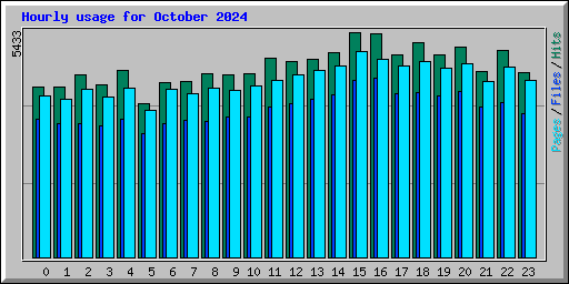 Hourly usage for October 2024