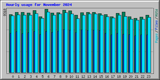 Hourly usage for November 2024