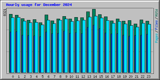 Hourly usage for December 2024