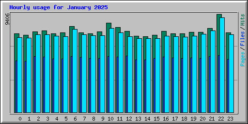 Hourly usage for January 2025
