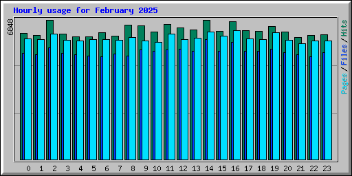 Hourly usage for February 2025