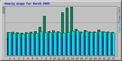 Hourly usage for March 2025