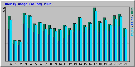 Hourly usage for May 2025