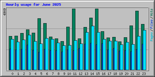 Hourly usage for June 2025