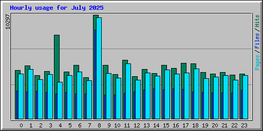 Hourly usage for July 2025