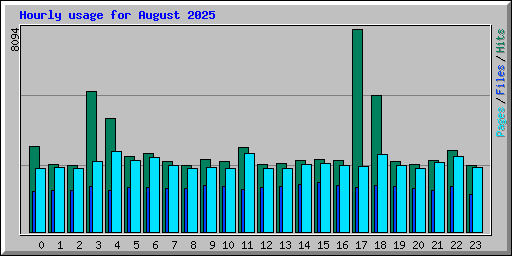 Hourly usage for August 2025