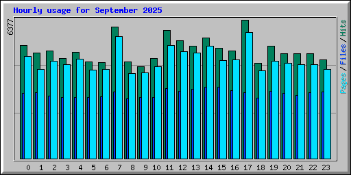 Hourly usage for September 2025