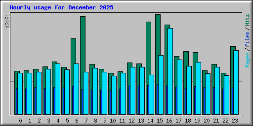 Hourly usage for December 2025