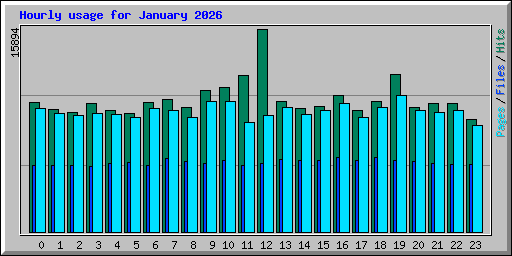 Hourly usage for January 2026