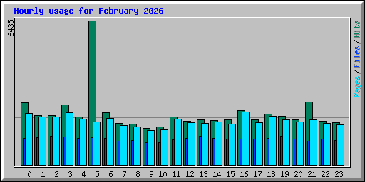 Hourly usage for February 2026