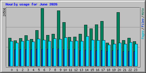 Hourly usage for June 2026