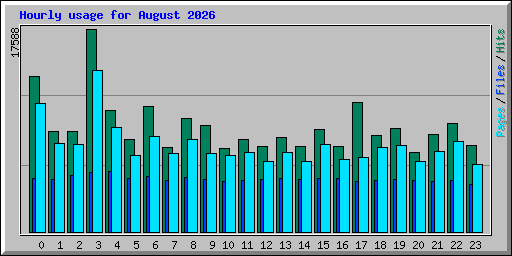 Hourly usage for August 2026
